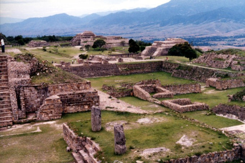 8-Hour Monte Albán Tour from Oaxaca