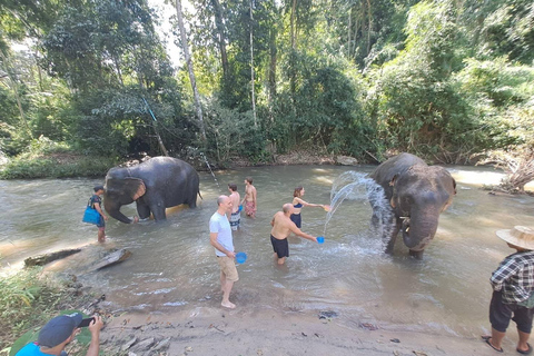 Chiang Mai: 2-Day Jungle Trek with Elephant Farm & Raft Ride Hotel Pickup and Drop-off (within Pickup Area)