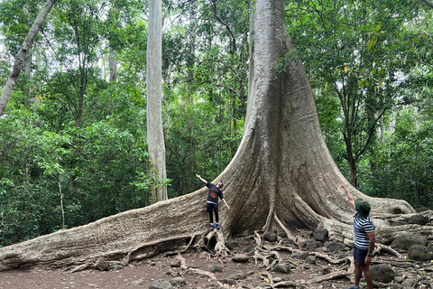 Cat Tien National Park 2-Day Tour By Motorbike/Car From HCMC Cat Tien National Park 2-Day Tour By Car