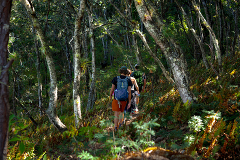 Oaxaca: Hiking Tour In the Sierra Norte With Lunch