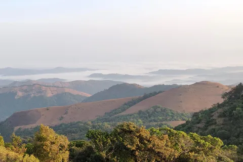 Kodachadri: Summit Trek with forest and cave experience