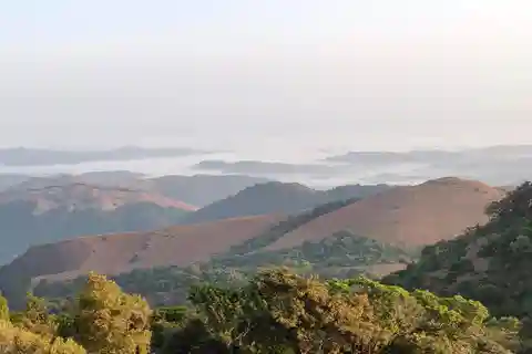 Kodachadri: Summit Trek with forest and cave experience