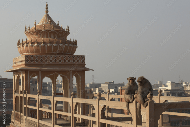 Visite à pied du patrimoine de Jaipur (découvrez les trésors cachés de Jaipur)