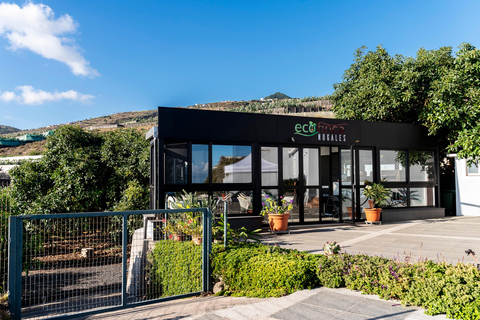 Guided visit to Ecofinca Nogales with organic food tasting