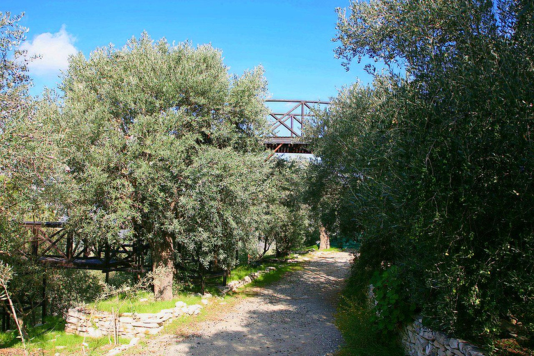 Limassol: tour per crocieristi, olio d&#039;oliva, artigianato e panorami costieriTour per crocieristi in minibus