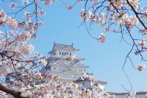 من أوساكا: رحلة يومية خاصة إلى هيروشيما بالقطار السريع