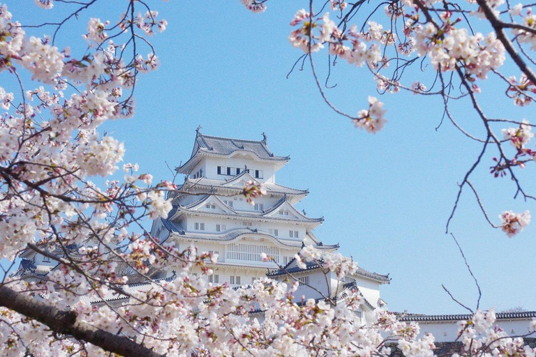 من أوساكا: رحلة يومية خاصة إلى هيروشيما بالقطار السريع