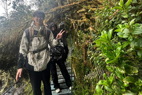 Bogota to Paramo Chingaza Hiking Through Majestic Landscapes