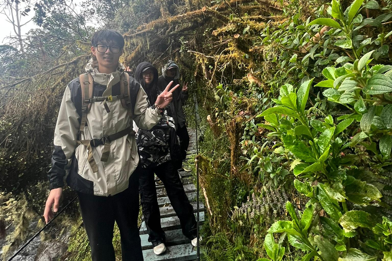Bogota to Paramo Chingaza Hiking Through Majestic Landscapes