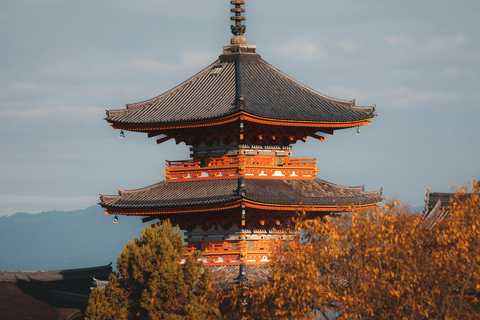 Nara, Kyoto, and Osaka Hidden Culture Day Tour