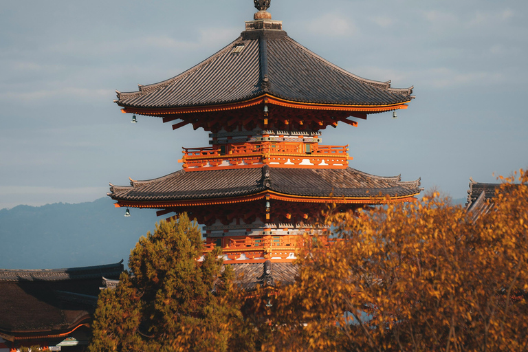 Nara, Kyoto, and Osaka Hidden Culture Day Tour