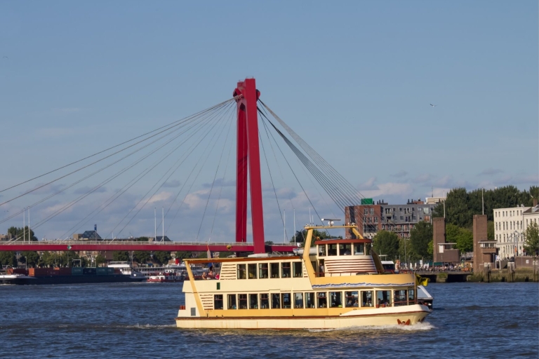 Najważniejsze atrakcje Rotterdamu z lokalnym: wycieczka piesza i rejs statkiem
