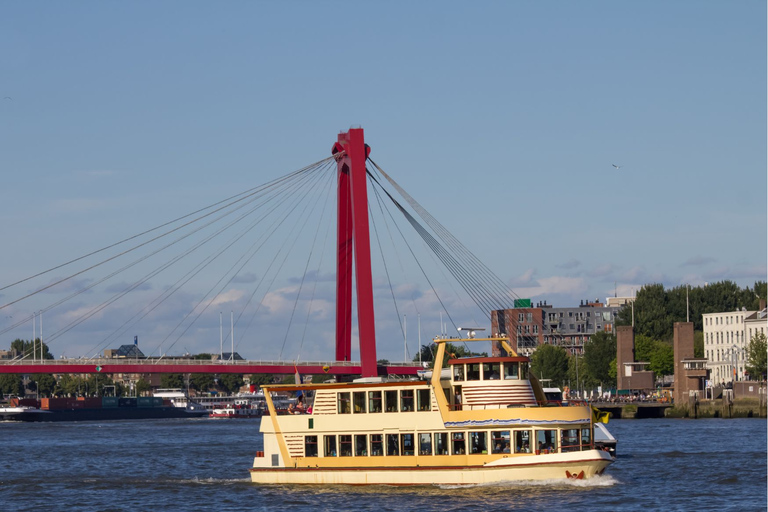 Lo mejor de Rotterdam con un local: Visita a pie y crucero en barco