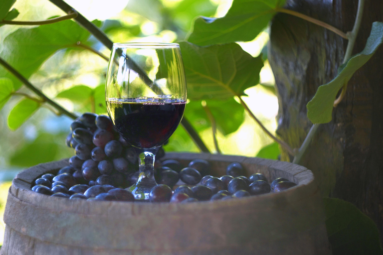 Balchik &amp; Golden Sands – Black Sea Spa &amp; Cultural Escape