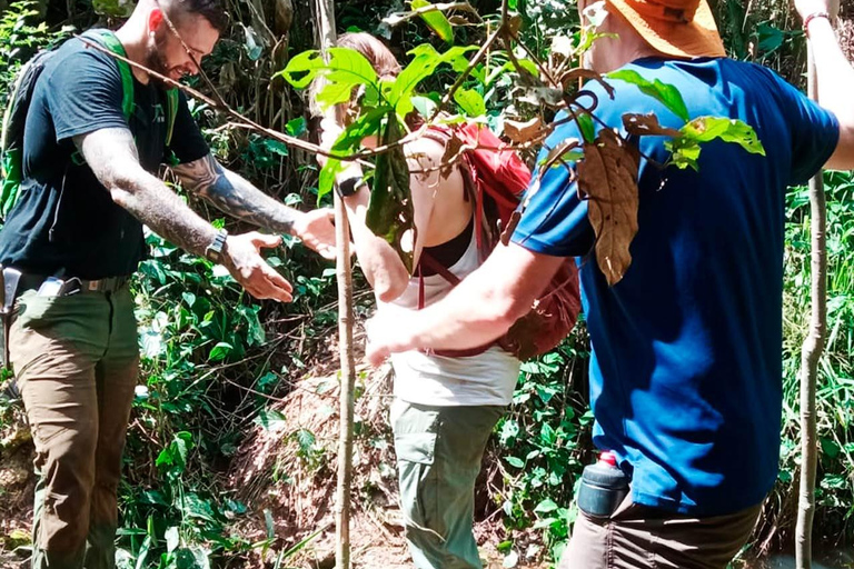 AMAZONAS-ÜBERLEBENSREISEAMAZON-ÜBERLEBENSREISE