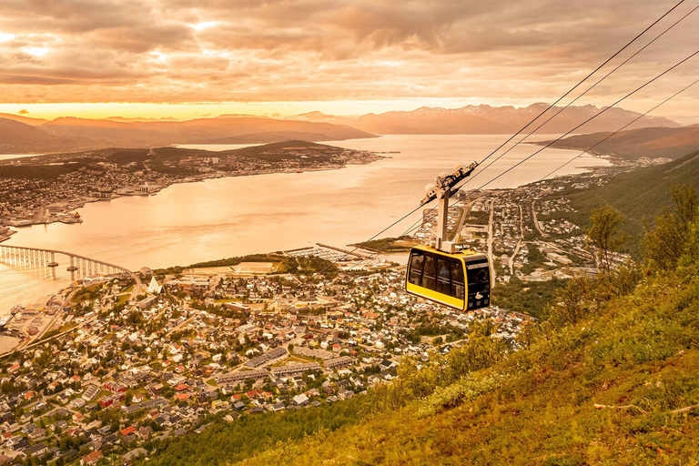 Tromsø: Fjellheisen Cable Car Ticket