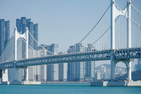 Seoul: Seamless KTX Busan Private Tour Seoul ↔ Busan | Round Trip