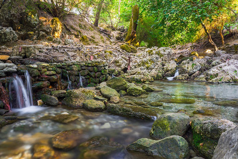 From Rhodes: Bus Tour to Lindos and the Seven Springs