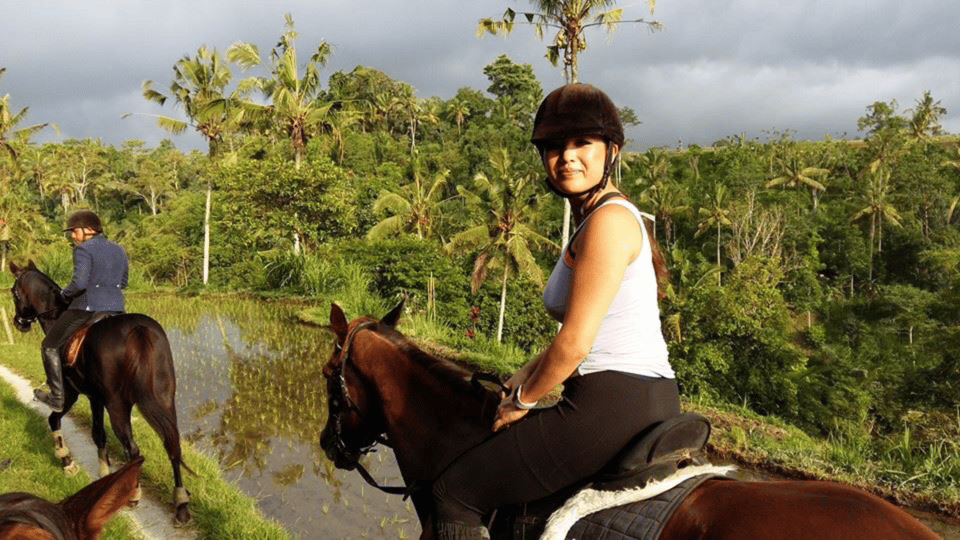 Ubud 1 Hour Countryside Horse Riding with Rice Field View GetYourGuide