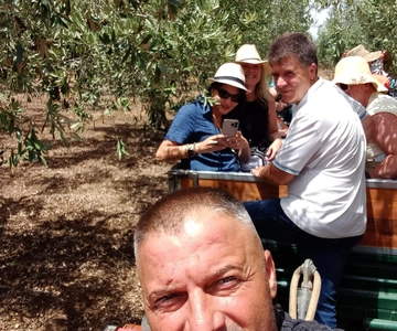 EVO Oil Tasting in Castelvetrano