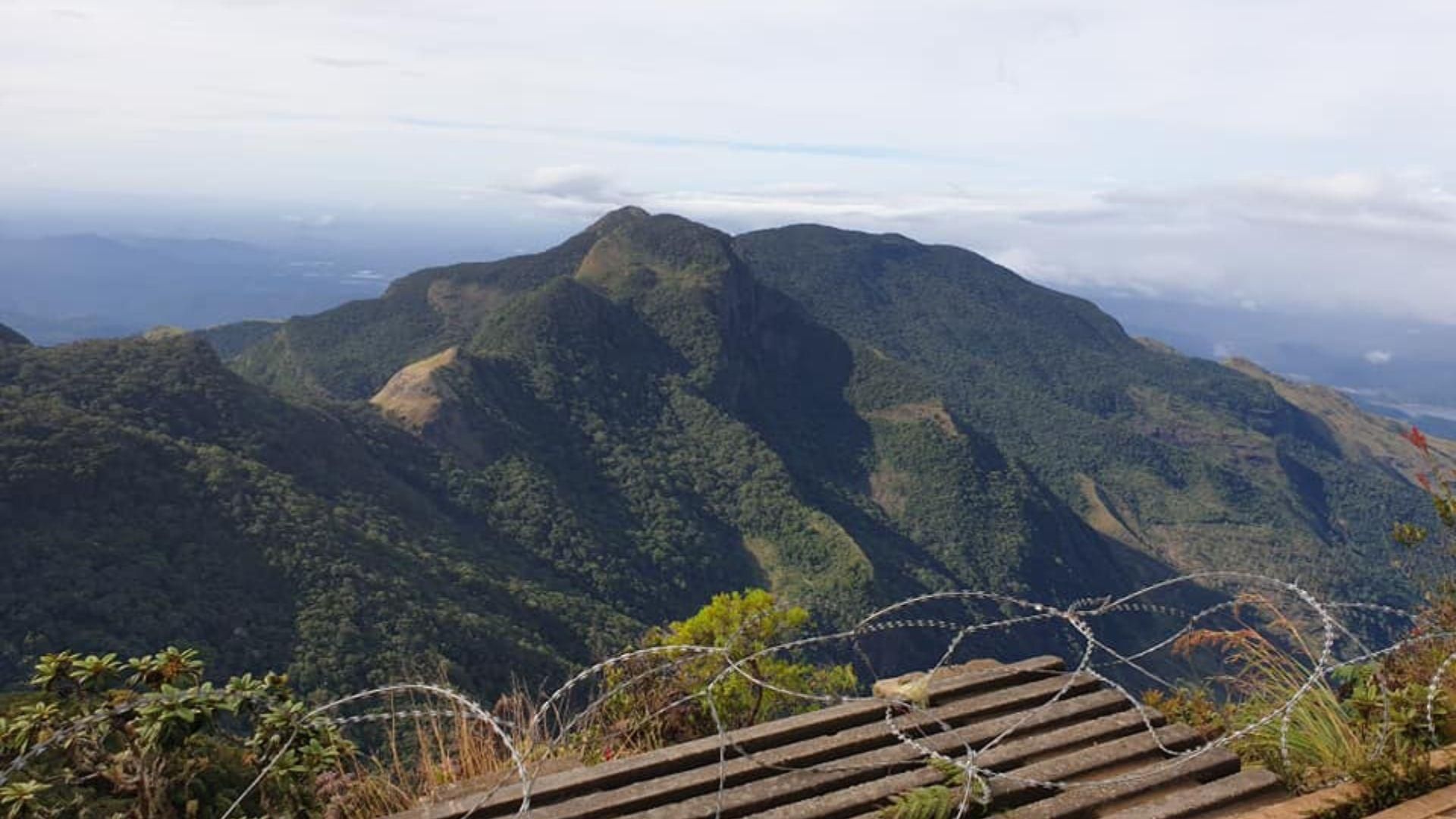 Nuwara Eliya: Wanderung in den Horton-Plains, Teefabrik & Transfer