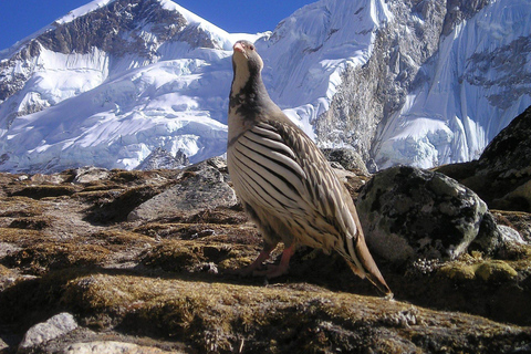 Nepal: Gokyo Lakes & Everest Base Camp Trek | Eco-Certified|