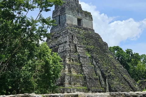 Da Flores: Tour di Tikal All Inclusive
