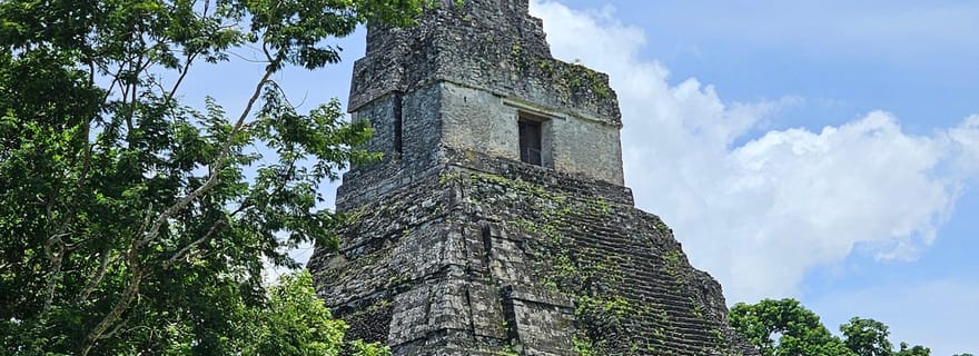 Depuis Flores : Visite de Tikal en formule tout compris