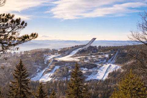 Oslo’s Most Beautiful Fjord Views - light hike version
