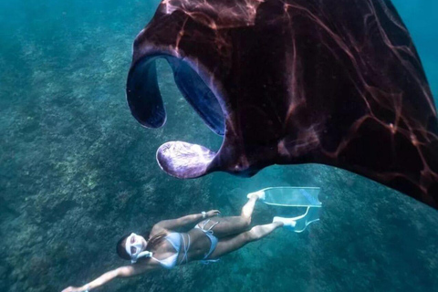 Nusa Penida Snorkeling & Scenic Island Tour from Bali Pick up from accommodation and port in nusa penida.