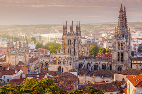 From Madrid: Day trip to Toledo and Don Quixote Windmills