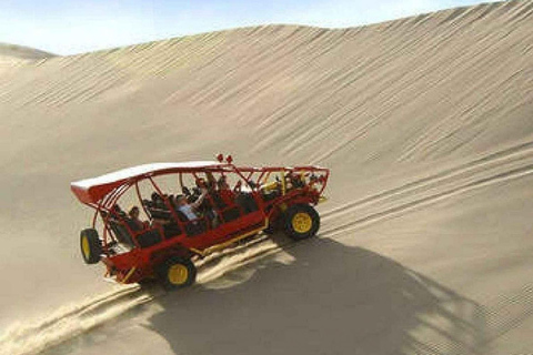 Desde Ica: Excursión de un día a Paracas y el Oasis de la Huacachina con ...