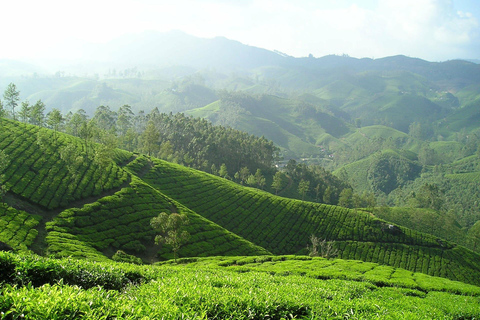 De Colombo: Excursão de 3 dias a Kandy, Sigiriya, Ella e Nuwara Eliya