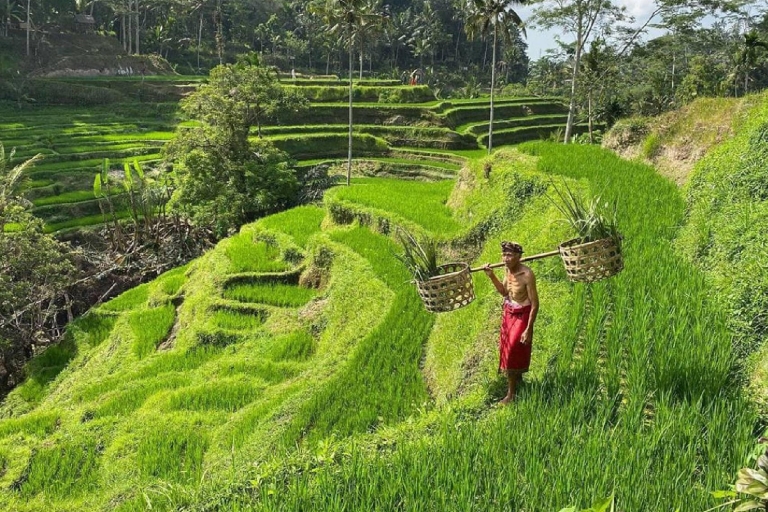 Best Ubud Waterfalls, Rice Terrace & Swing - Inclusive Tour Exluded Entry Tickets