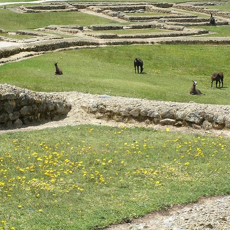 来自昆卡、印加皮尔卡的鲁恩斯旅游 - Hizvo
