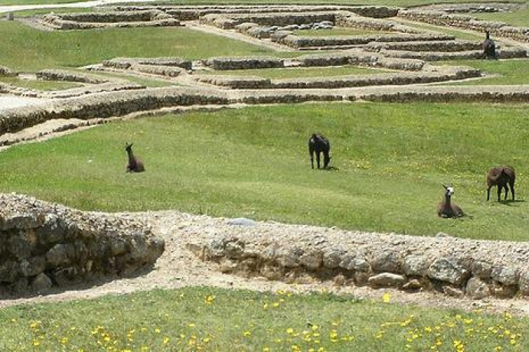 Vanuit Cuenca: rondleiding Ingapirca-ruïnes