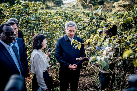TOUR GIORNALIERO DELLA FATTORIA DEL CAFFÈ FAIRVIEW