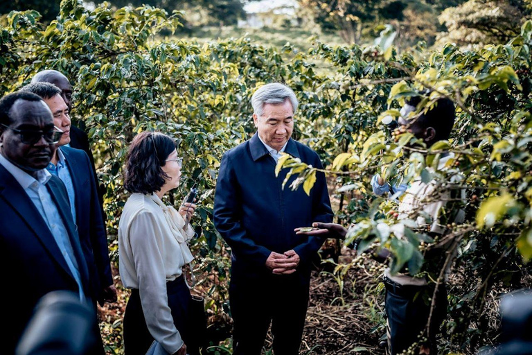TOUR GIORNALIERO DELLA FATTORIA DEL CAFFÈ FAIRVIEW