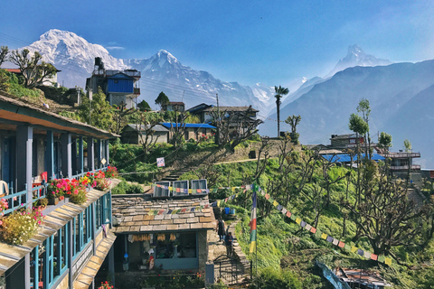 Au départ de Pokhara : 5 jours de trek au camp de base de l&#039;Annapurna et source d&#039;eau chaudePokhara : 5 jours de trek au camp de base de l&#039;Annapurna