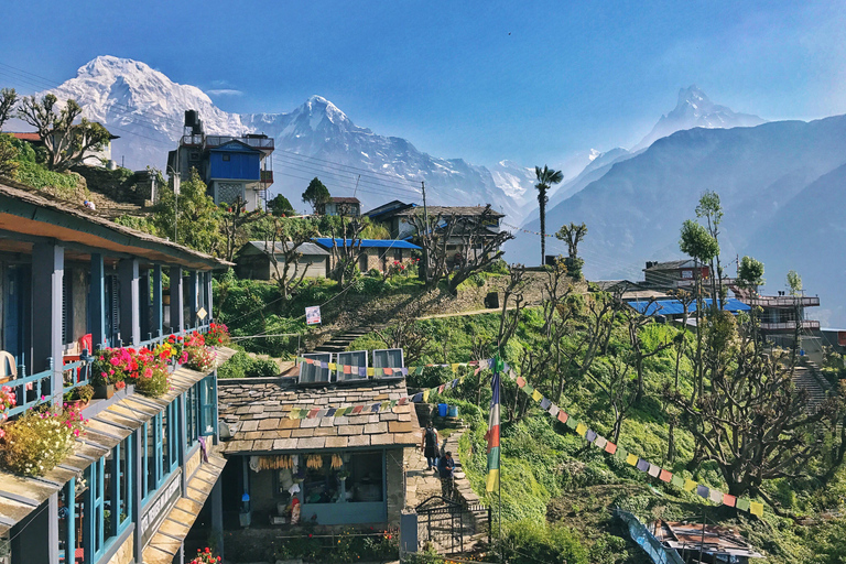 Au départ de Pokhara : 5 jours de trek au camp de base de l&#039;Annapurna et source d&#039;eau chaudePokhara : 5 jours de trek au camp de base de l&#039;Annapurna