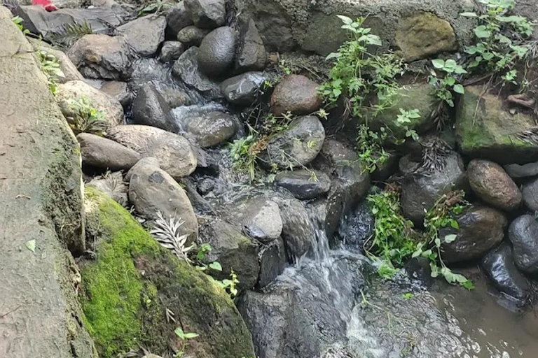 Addis Ababa: Bora Park & Bulbula Guided Tour with Pickup