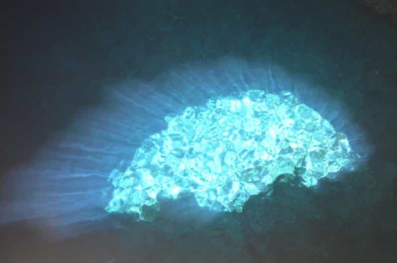 From Sal Island Buracona, Salt Springs & Lemon Sharks Tour GetYourGuide