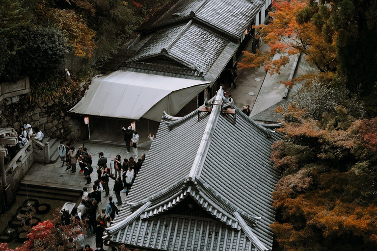 Kyoto: Private Luxury Tour With Vehicle (Customizable)