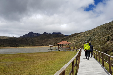 From Quito: Cotopaxi and Baños Day Trip with Lunch