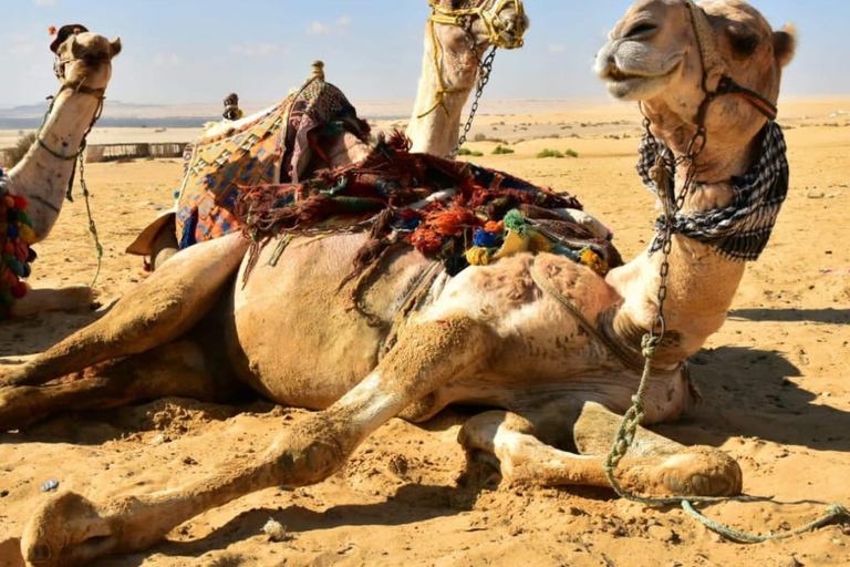 Le Caire : Excursion d'une journée aux pyramides d'El Fayoum