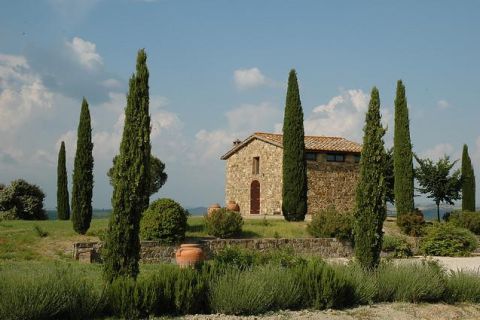Van Siena: Brunello di Montalcino-wijntour per minibus