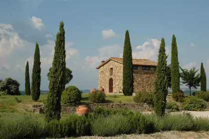 Ab Siena: Brunello di Montalcino Weintour mit Minivan