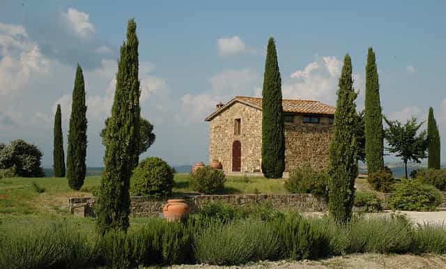 from siena brunello di montalcino wine tour by minivan