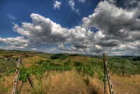 Van Siena, Chianti en Castles Tour met wijnproeverijen - Housity