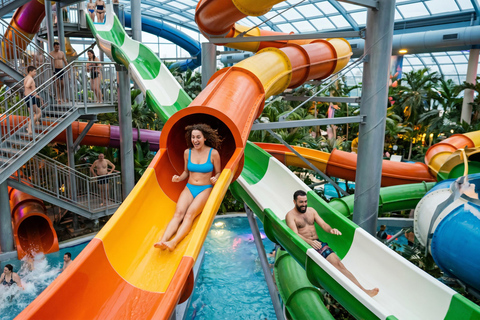 Bucharest: Therme Bucharest Spa Ticket & Round-Trip Transfer 3 hours Therme Bucharest Palm, Galaxy or Elysium & Transfer